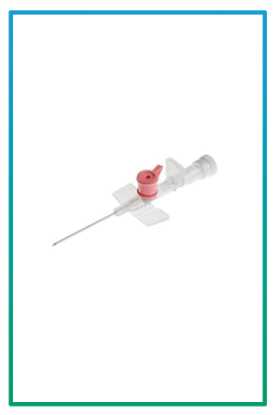 صورة كانيولا I.V 20G